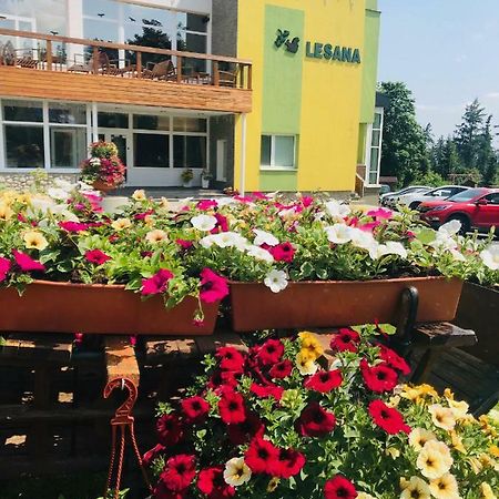 Hotel Lesana Stará Lesná Exteriör bild